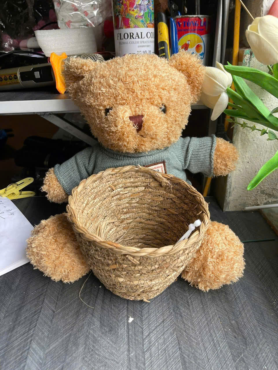 Gấu Teddy